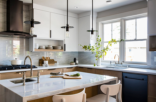 TRANSFORM YOUR KITCHEN WITH PROFESSIONAL REMODELING